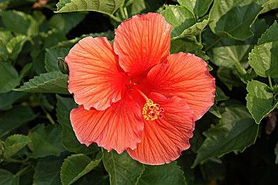 动漫风格剧情推理游戏《回忆倒带》Steam页面上线